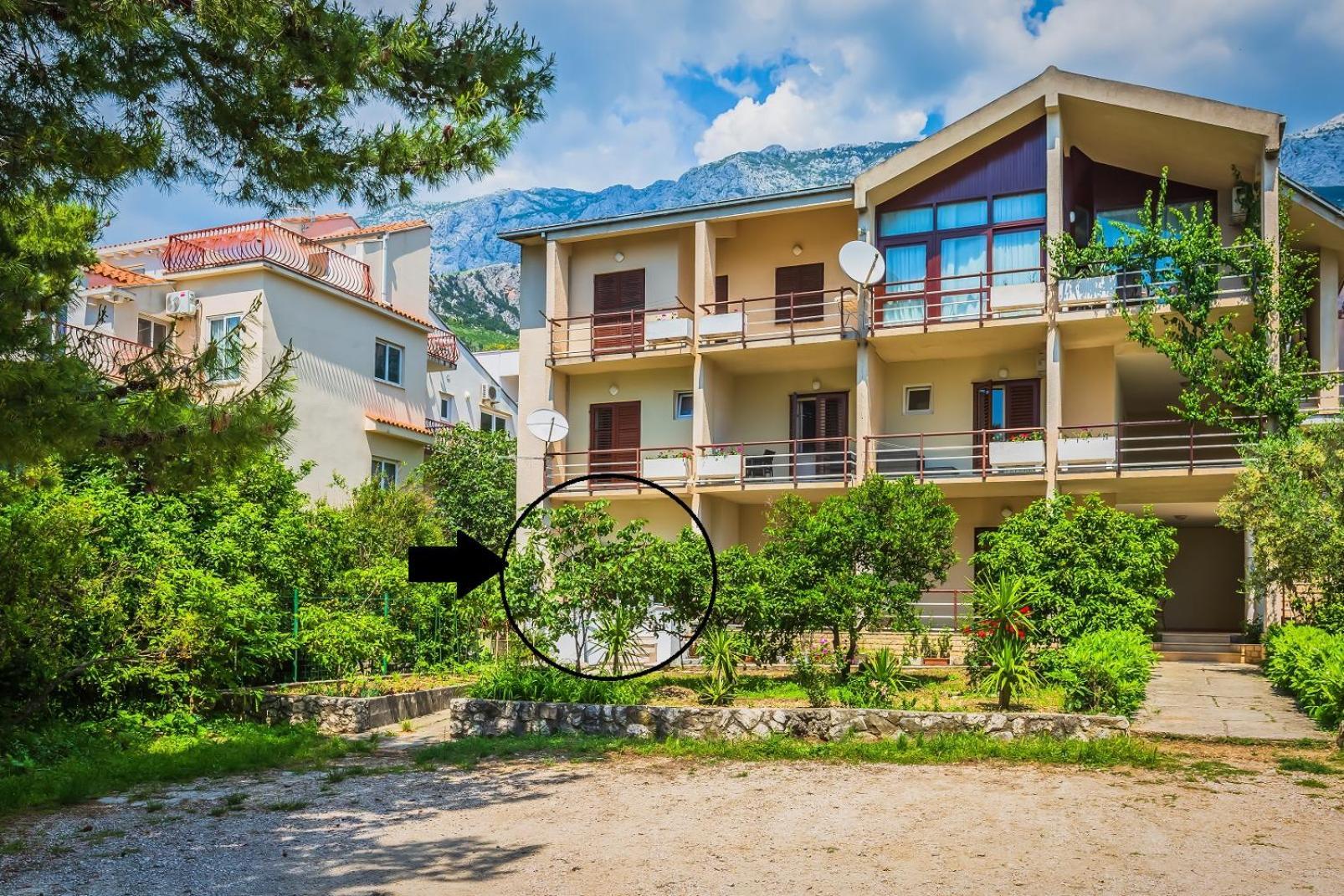 Apartments Agneza Tučepi Extérieur photo
